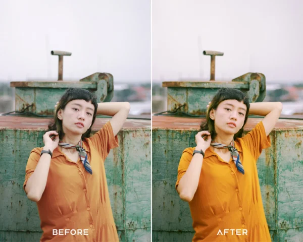 Fuji Film Inspired Preset Collection